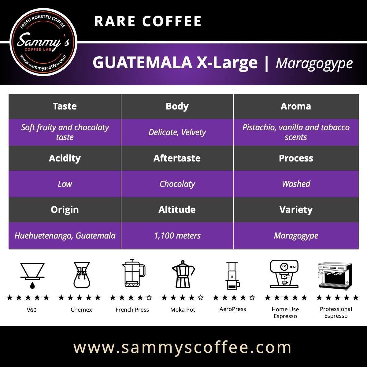 Guatemala Maragogype | X-Large Beans - Sammy's Coffee 